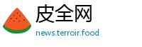 皮全网